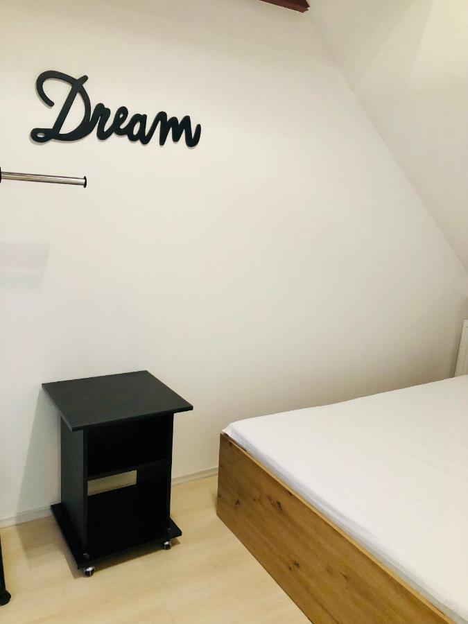 טימישוארה Ultra-Central Modern And Big Apartments In Union Square U41-U44 מראה חיצוני תמונה