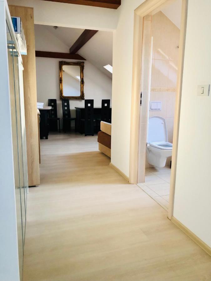 טימישוארה Ultra-Central Modern And Big Apartments In Union Square U41-U44 מראה חיצוני תמונה