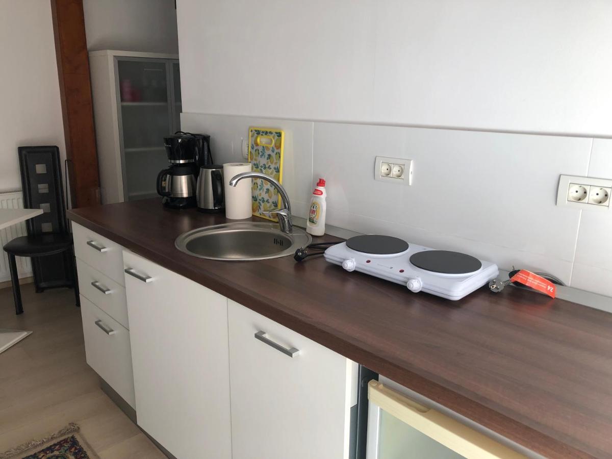 טימישוארה Ultra-Central Modern And Big Apartments In Union Square U41-U44 מראה חיצוני תמונה