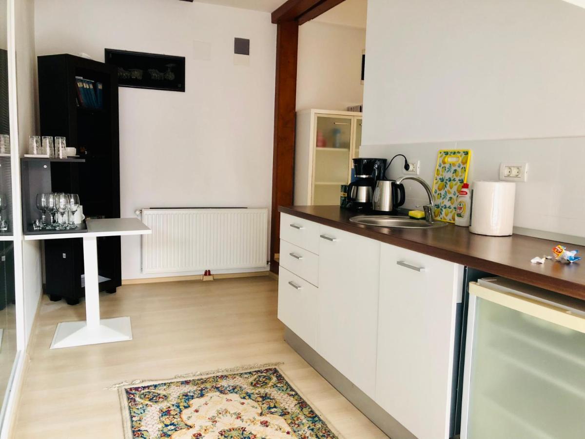 טימישוארה Ultra-Central Modern And Big Apartments In Union Square U41-U44 מראה חיצוני תמונה