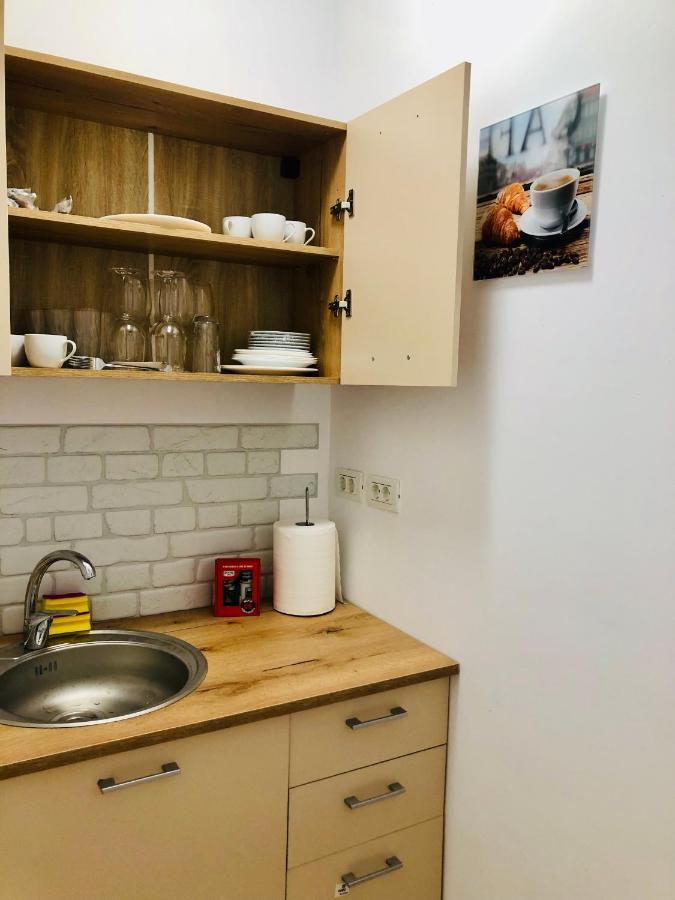 טימישוארה Ultra-Central Modern And Big Apartments In Union Square U41-U44 מראה חיצוני תמונה