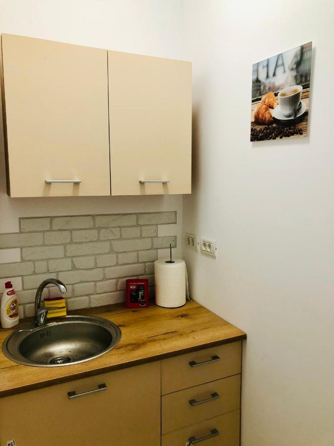 טימישוארה Ultra-Central Modern And Big Apartments In Union Square U41-U44 מראה חיצוני תמונה