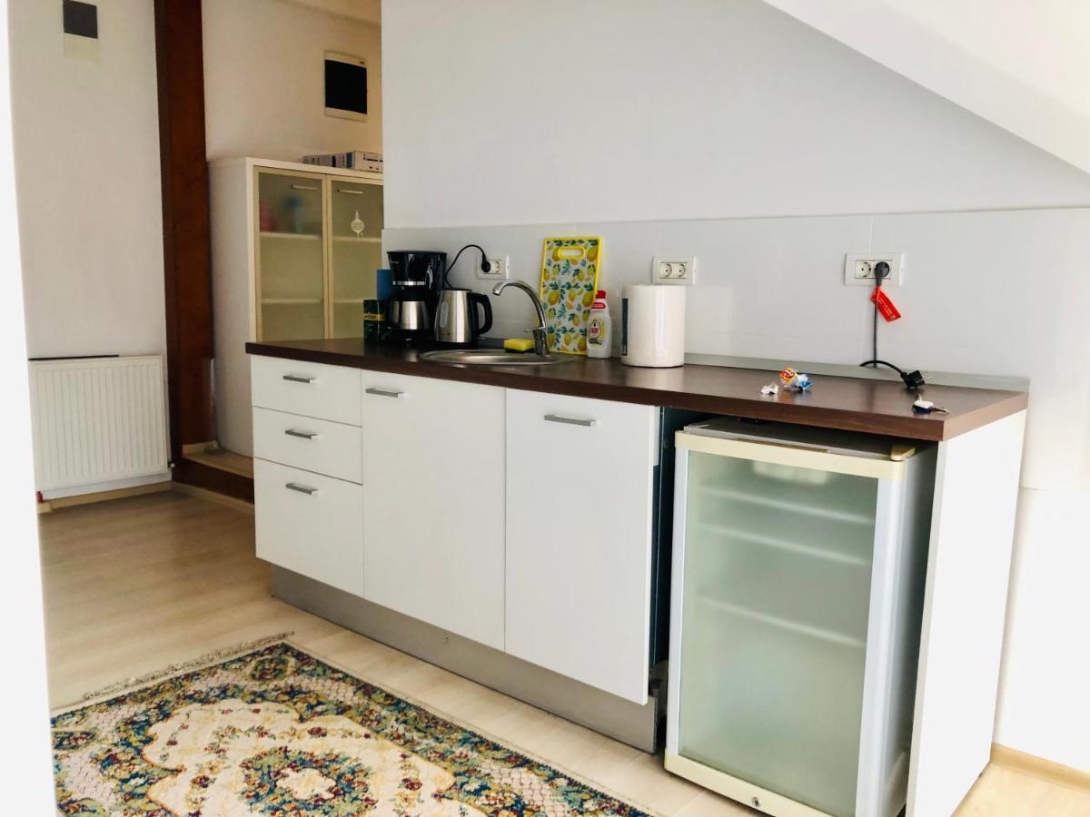 טימישוארה Ultra-Central Modern And Big Apartments In Union Square U41-U44 מראה חיצוני תמונה