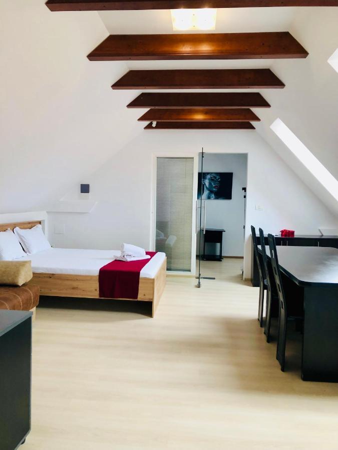 טימישוארה Ultra-Central Modern And Big Apartments In Union Square U41-U44 מראה חיצוני תמונה