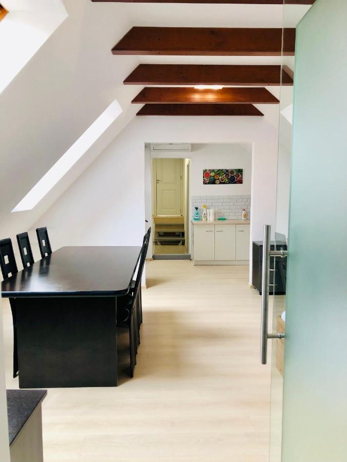 טימישוארה Ultra-Central Modern And Big Apartments In Union Square U41-U44 מראה חיצוני תמונה