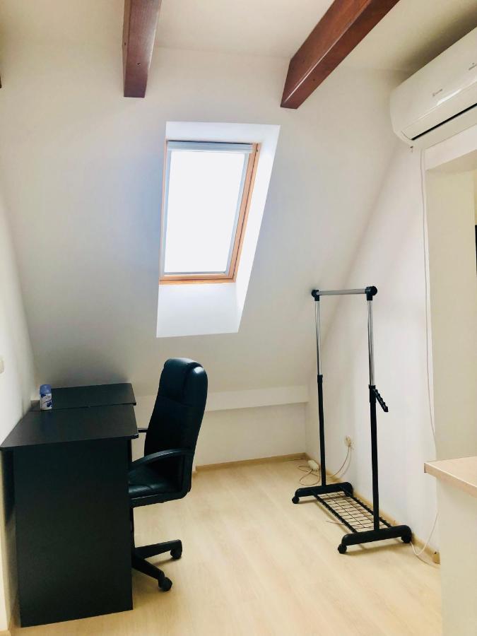 טימישוארה Ultra-Central Modern And Big Apartments In Union Square U41-U44 מראה חיצוני תמונה