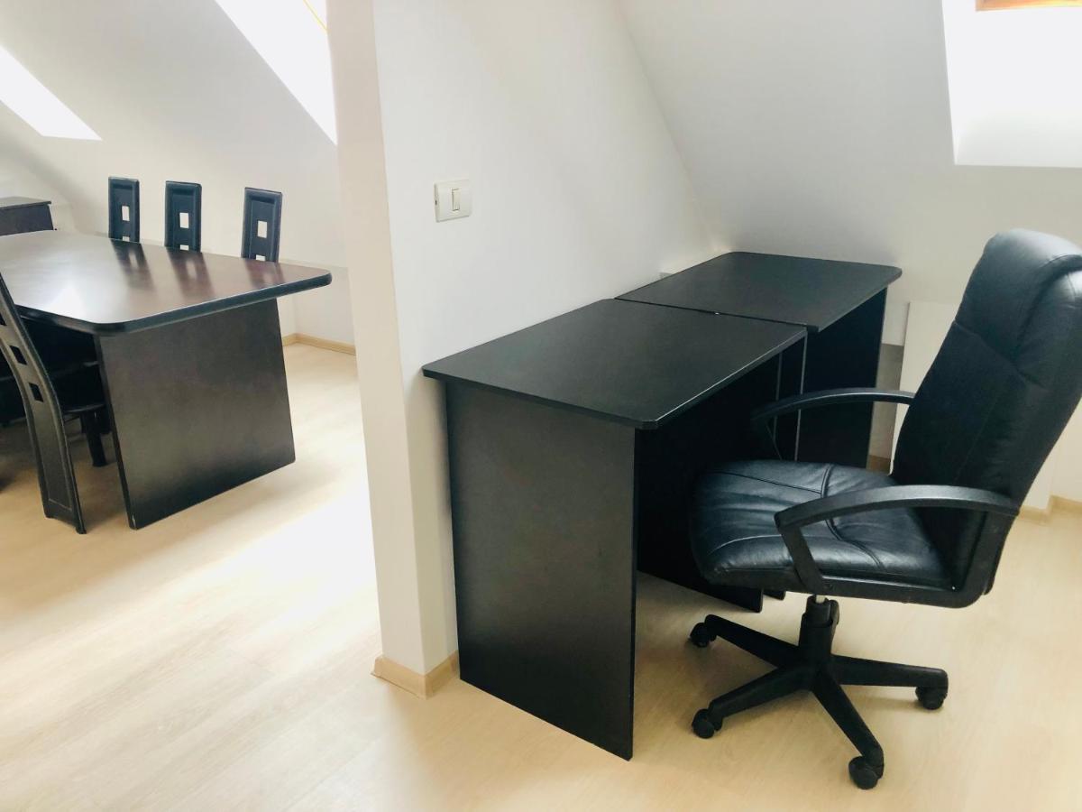 טימישוארה Ultra-Central Modern And Big Apartments In Union Square U41-U44 מראה חיצוני תמונה