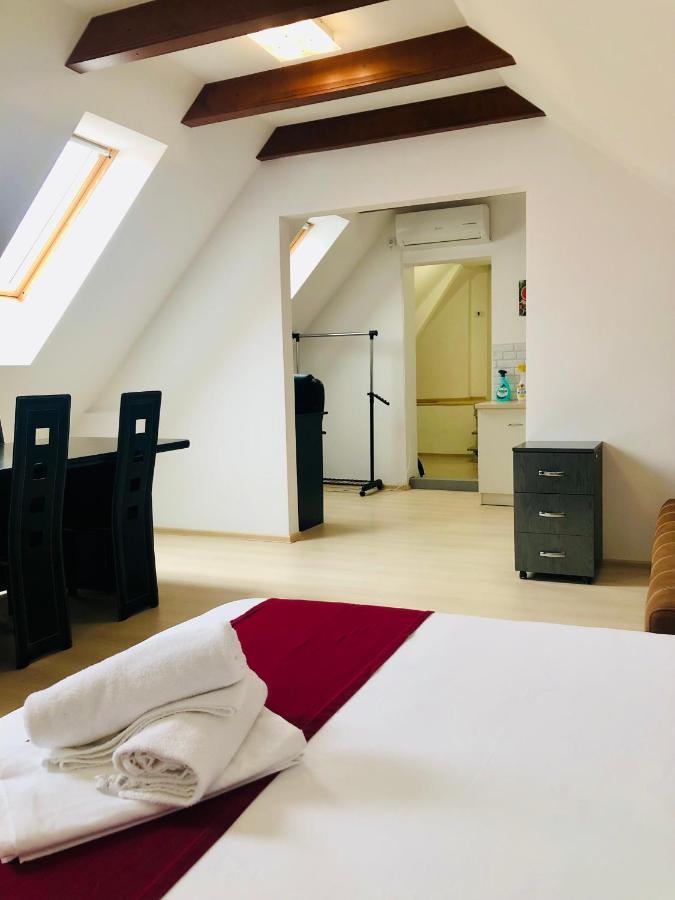 טימישוארה Ultra-Central Modern And Big Apartments In Union Square U41-U44 מראה חיצוני תמונה