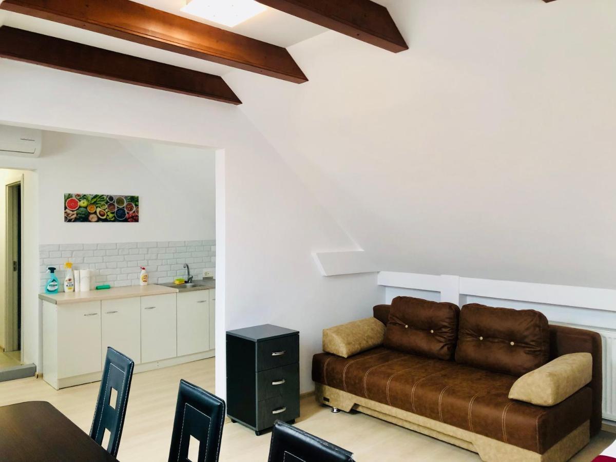 טימישוארה Ultra-Central Modern And Big Apartments In Union Square U41-U44 מראה חיצוני תמונה